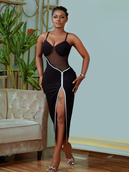 Sheer Cut-Out Dress