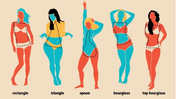 common body types
